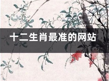 十二生肖最准的网站