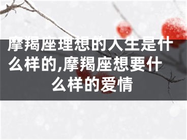摩羯座理想的人生是什么样的,摩羯座想要什么样的爱情