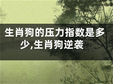 生肖狗的压力指数是多少,生肖狗逆袭