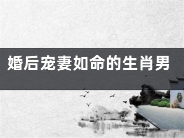 婚后宠妻如命的生肖男