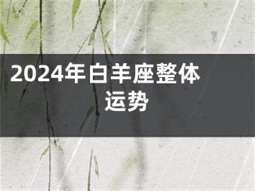 2024年白羊座整体运势