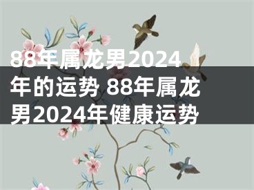 88年属龙男2024年的运势 88年属龙男2024年健康运势