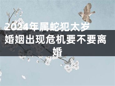 2024年属蛇犯太岁婚姻出现危机要不要离婚
