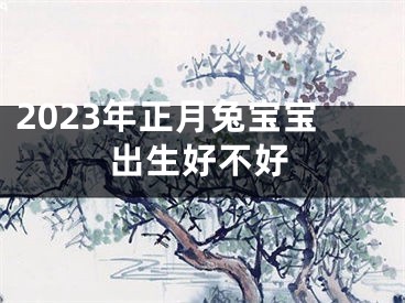 2023年正月兔宝宝出生好不好