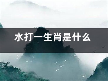 水打一生肖是什么