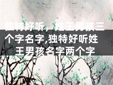 独特好听，姓王男孩三个字名字,独特好听姓王男孩名字两个字