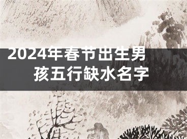 2024年春节出生男孩五行缺水名字