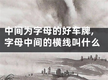 中间为字母的好车牌,字母中间的横线叫什么
