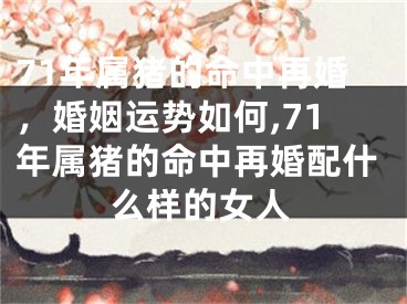 71年属猪的命中再婚，婚姻运势如何,71年属猪的命中再婚配什么样的女人