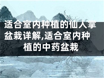 适合室内种植的仙人掌盆栽详解,适合室内种植的中药盆栽