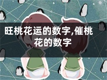 旺桃花运的数字,催桃花的数字