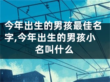 今年出生的男孩最佳名字,今年出生的男孩小名叫什么