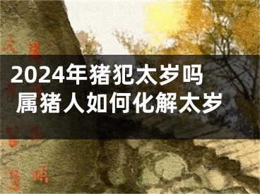 2024年猪犯太岁吗 属猪人如何化解太岁