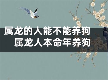 属龙的人能不能养狗 属龙人本命年养狗