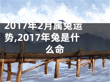 2017年2月属兔运势,2017年兔是什么命