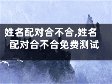 姓名配对合不合,姓名配对合不合免费测试