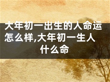 大年初一出生的人命运怎么样,大年初一生人什么命