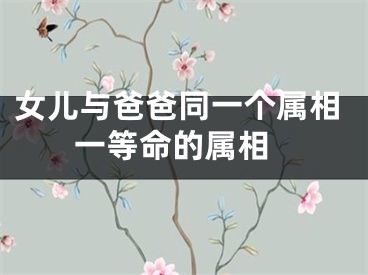 女儿与爸爸同一个属相 一等命的属相