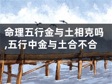 命理五行金与土相克吗,五行中金与土合不合