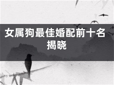 女属狗最佳婚配前十名揭晓