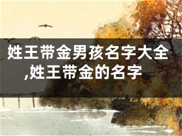 姓王带金男孩名字大全,姓王带金的名字