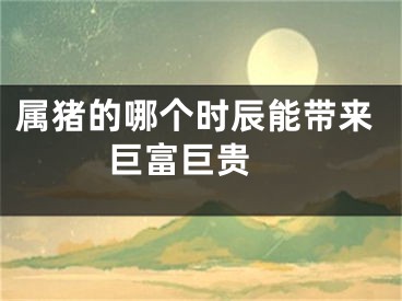 属猪的哪个时辰能带来巨富巨贵 