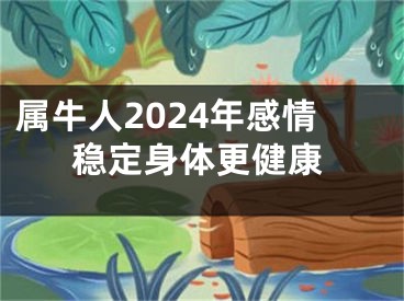 属牛人2024年感情稳定身体更健康