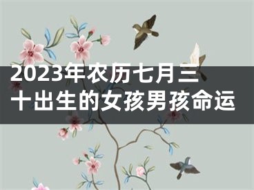 2023年农历七月三十出生的女孩男孩命运
