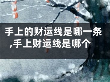 手上的财运线是哪一条,手上财运线是哪个