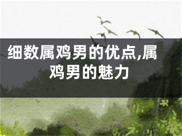 细数属鸡男的优点,属鸡男的魅力