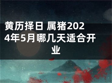 黄历择日 属猪2024年5月哪几天适合开业