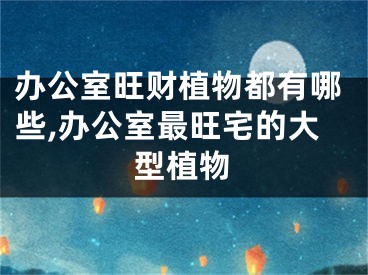 办公室旺财植物都有哪些,办公室最旺宅的大型植物