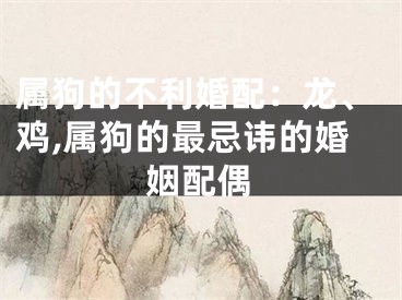 属狗的不利婚配：龙、鸡,属狗的最忌讳的婚姻配偶