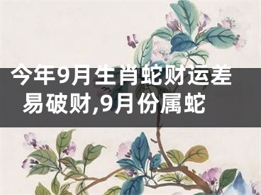 今年9月生肖蛇财运差易破财,9月份属蛇