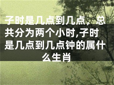 子时是几点到几点，总共分为两个小时,子时是几点到几点钟的属什么生肖