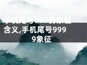 手机尾号999的象征含义,手机尾号9999象征