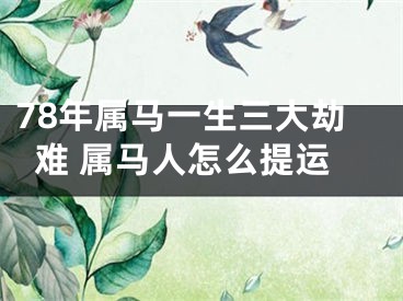 78年属马一生三大劫难 属马人怎么提运