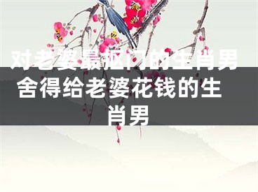 对老婆最抠门的生肖男 舍得给老婆花钱的生肖男
