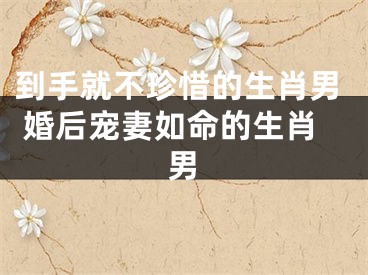 到手就不珍惜的生肖男 婚后宠妻如命的生肖男