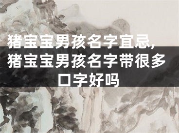 猪宝宝男孩名字宜忌,猪宝宝男孩名字带很多口字好吗