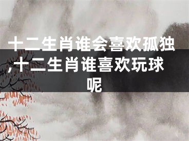 十二生肖谁会喜欢孤独,十二生肖谁喜欢玩球呢