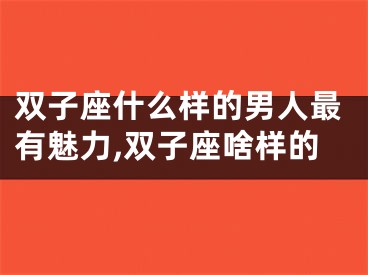 双子座什么样的男人最有魅力,双子座啥样的