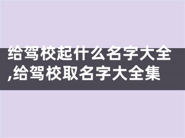 给驾校起什么名字大全,给驾校取名字大全集