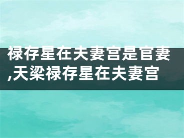 禄存星在夫妻宫是官妻,天梁禄存星在夫妻宫