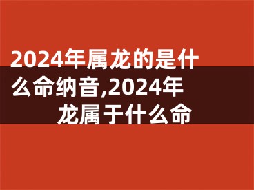 2024年属龙的是什么命纳音,2024年龙属于什么命