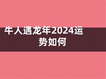 牛人遇龙年2024运势如何