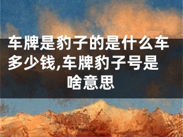 车牌是豹子的是什么车多少钱,车牌豹子号是啥意思