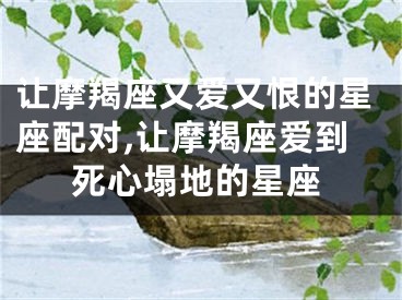 让摩羯座又爱又恨的星座配对,让摩羯座爱到死心塌地的星座