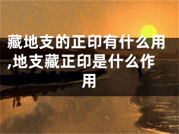 藏地支的正印有什么用,地支藏正印是什么作用