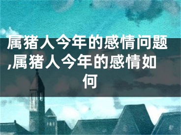 属猪人今年的感情问题,属猪人今年的感情如何